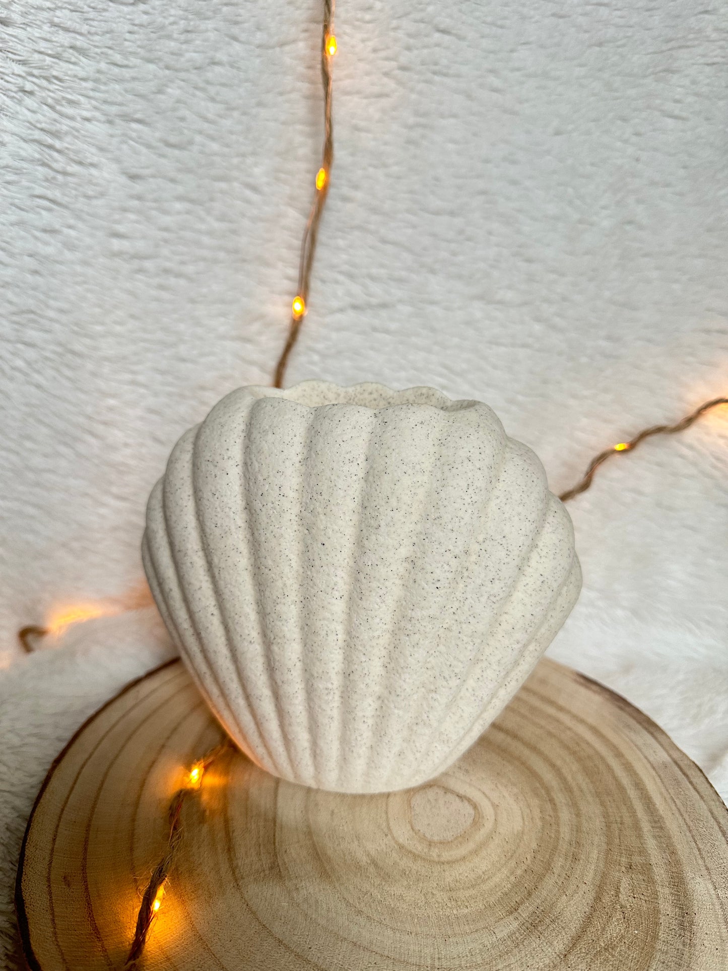 Brûleur Coquillage 🐚