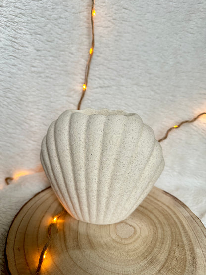 Brûleur Coquillage 🐚